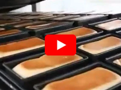 Línea de Pan Tostado